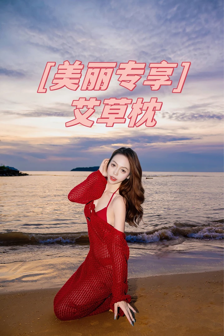 【爱美丽专享】老粗布艾草枕单枕头ZGFZ