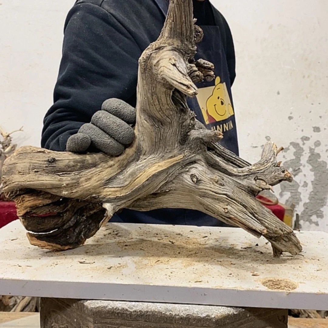 【闪购商品】柏木鱼**下我们都是好孩子