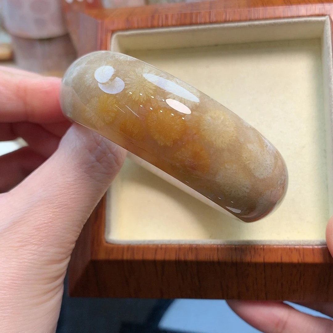 未镶嵌手镯硅化珊瑚（珊瑚玉）55口500