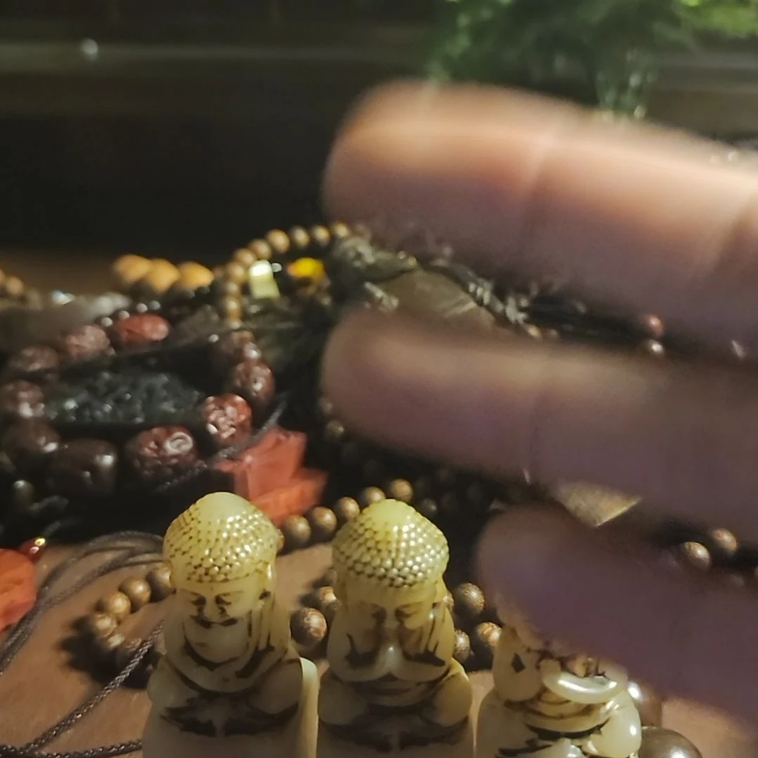 大叶紫檀（黑酸枝木类）