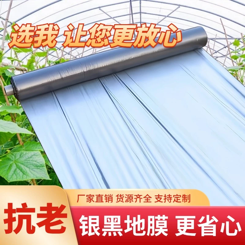 农用银黑双色地膜全新料防虫除草保温加厚反光覆盖薄膜打孔圆孔膜