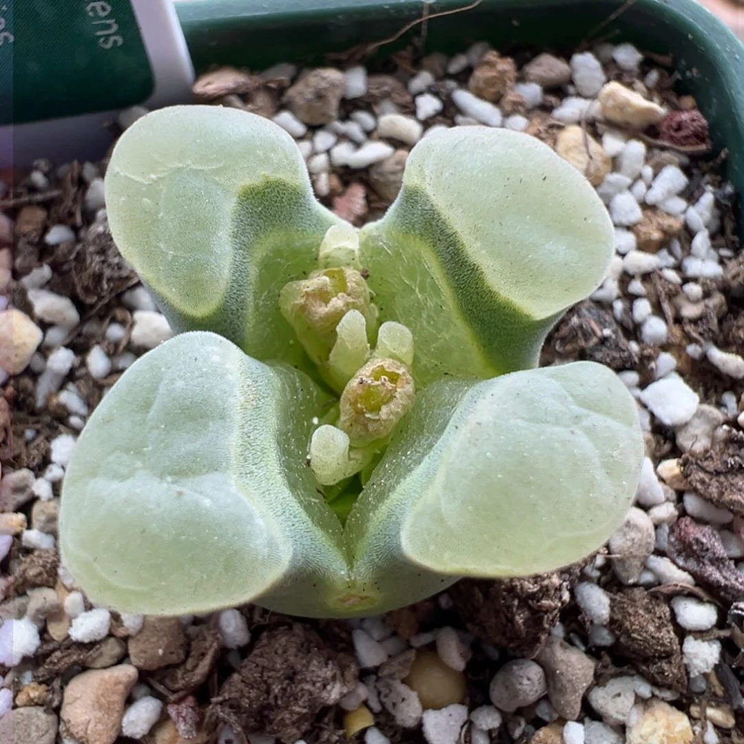 228优选2151一万赞福利