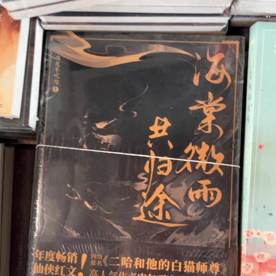 海棠微雨共归途新书全套福利