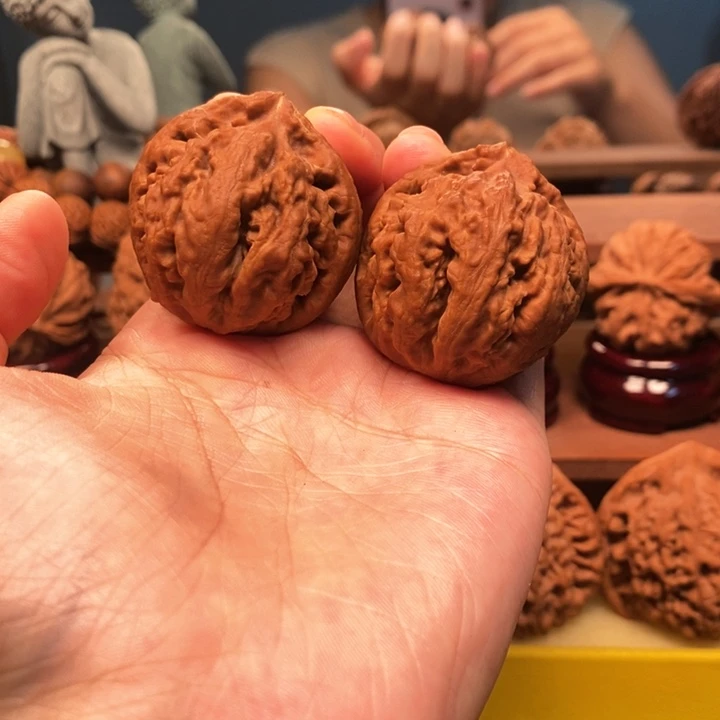R***）摆件核桃霸王龙全品