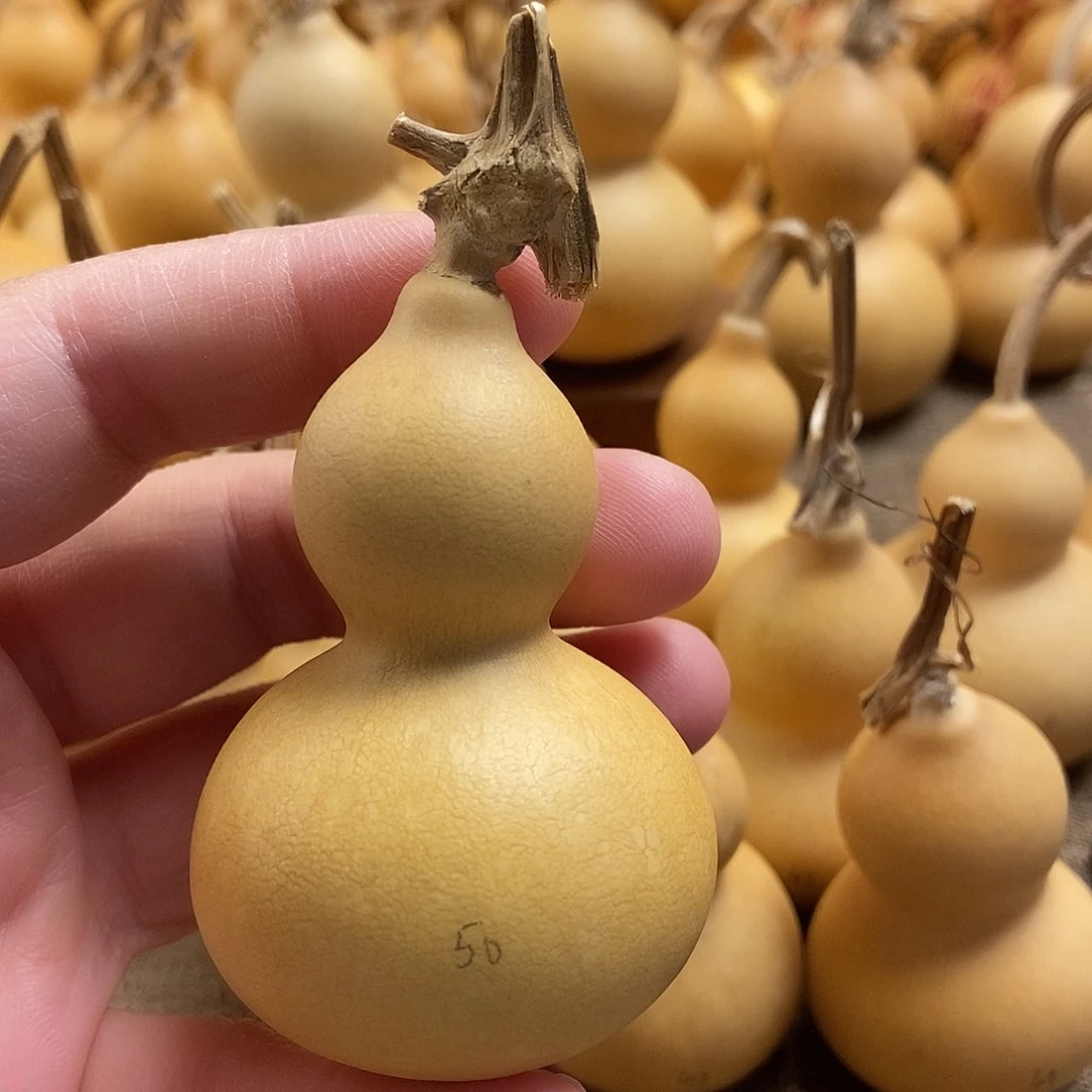 文玩葫芦 完美主义者 慎拍50