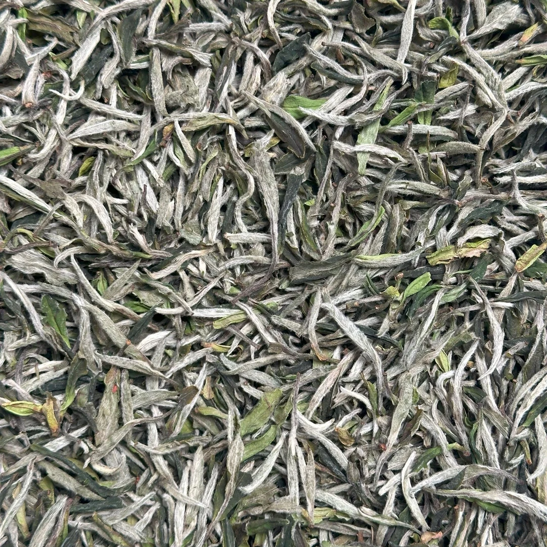 2024年特级白牡丹-福鼎白茶-花香牡丹-白牡丹散装喝正宗老白茶