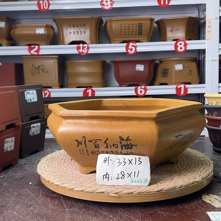 紫砂花盆蛇年大吉