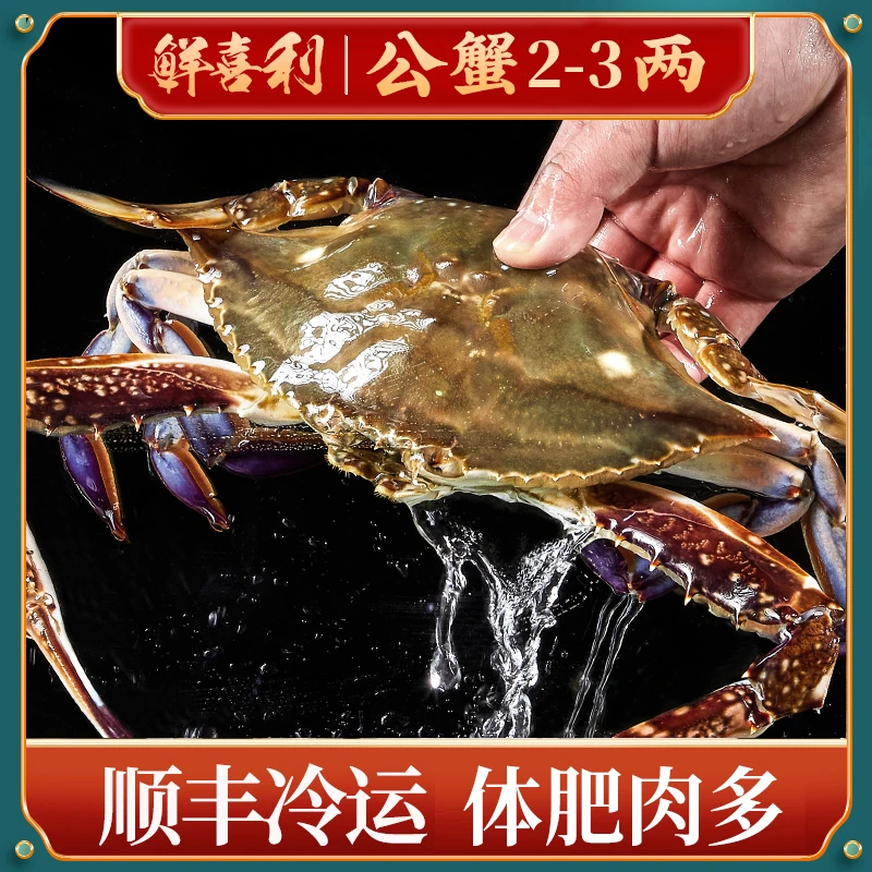 J 舟山公蟹梭子蟹3两左右/只（12只3斤左右，含赠品）不可清蒸【冻蟹】