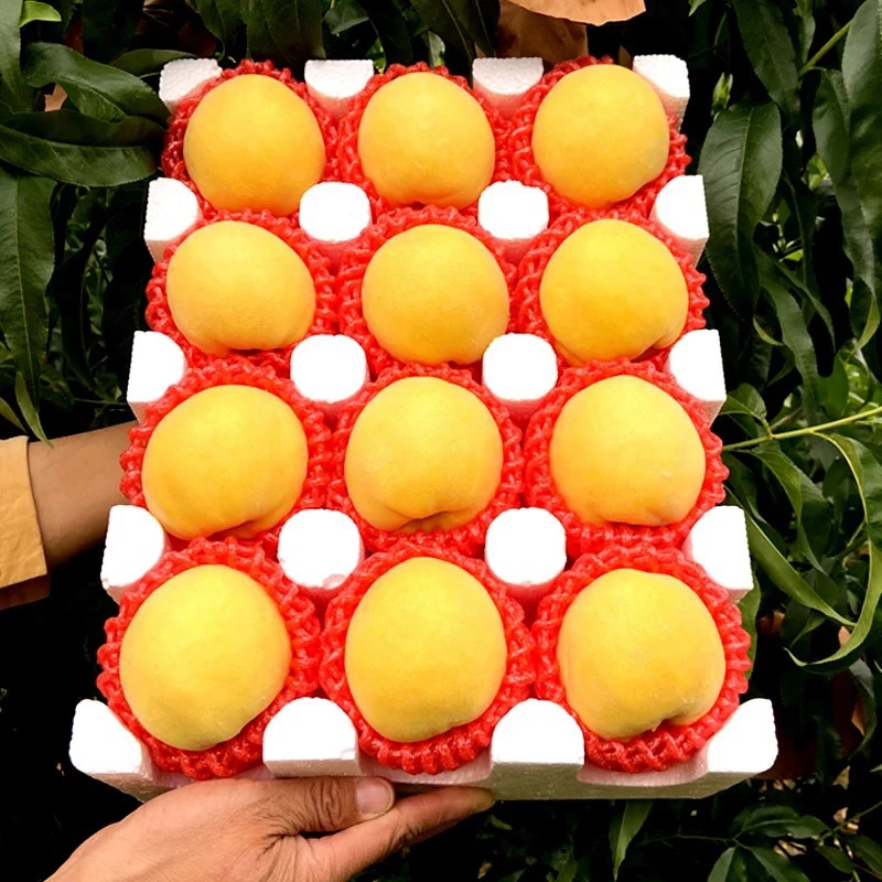 蒙阴蜜桃锦绣黄桃水蜜桃蟠桃黄桃新鲜水果毛桃黄毛桃脆甜多汁