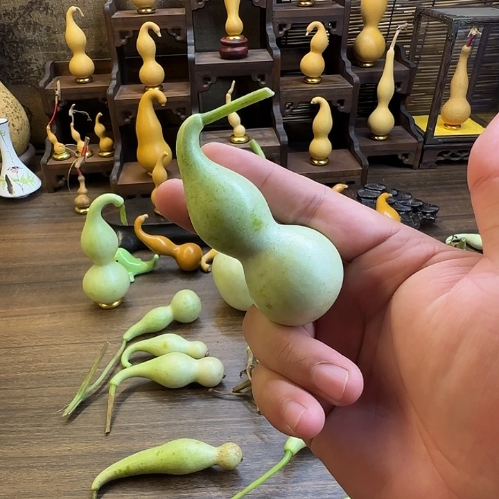 磨***人大叶紫檀（黑酸枝木类）