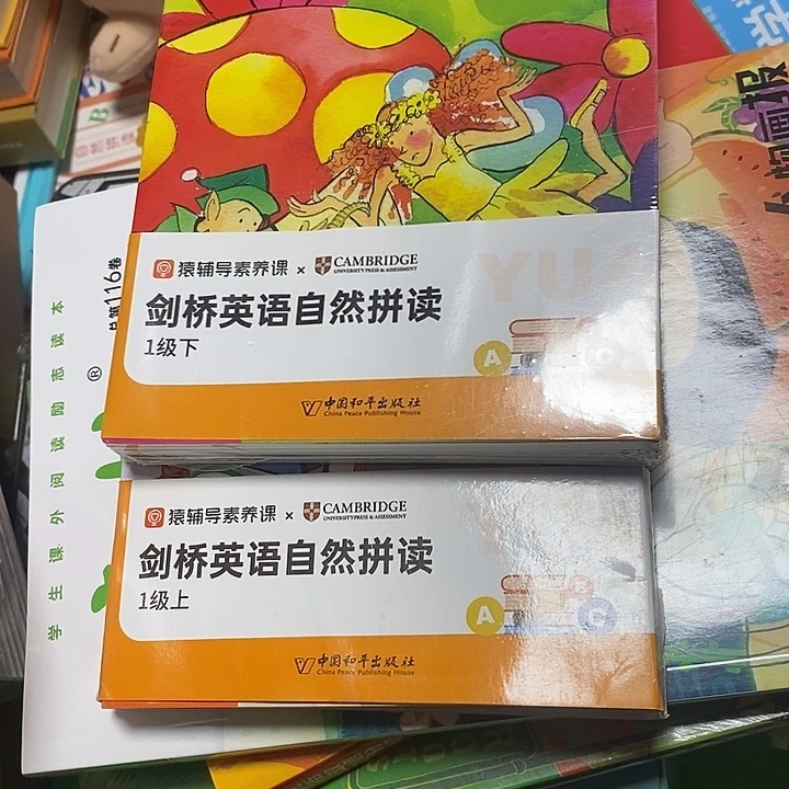 剑桥英语自然拼读，一级上下两套