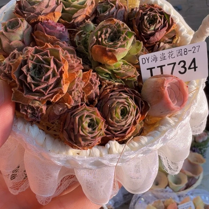 TT734 毛绒x潘系列花篮