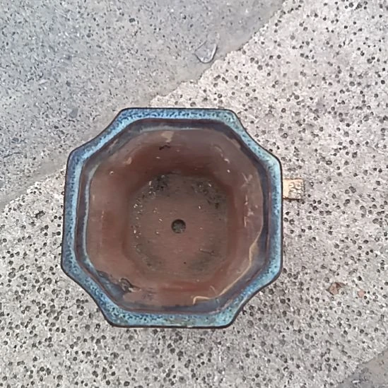 可***也瓷片景德镇陶瓷主人杯