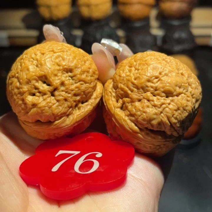 帝王蟾39尺寸核桃