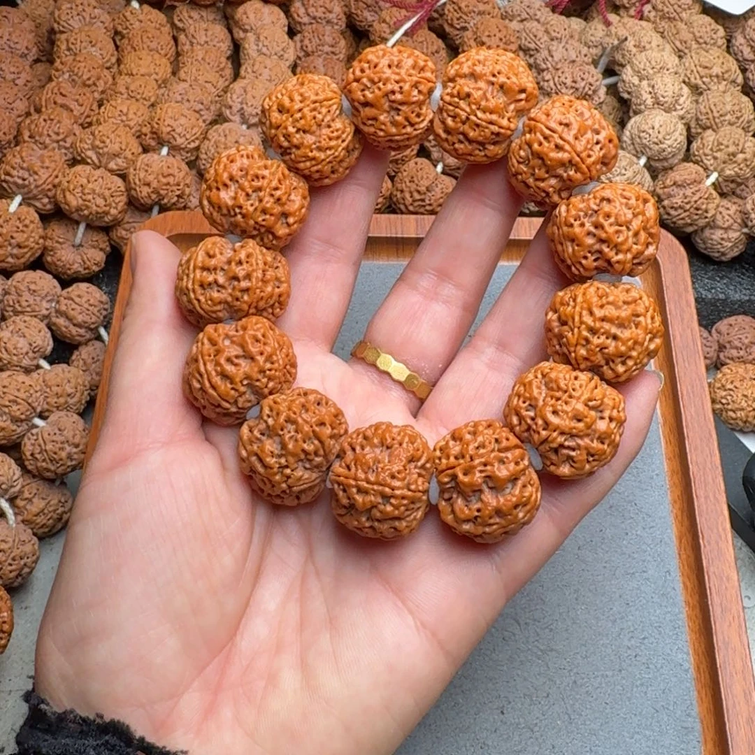 菩提菩提17号尼泊尔大金刚25蜂窝梅花