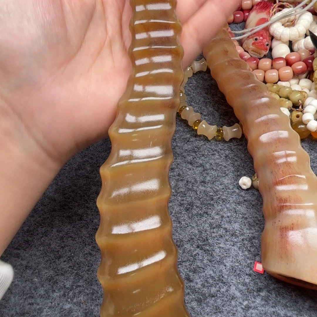 鹿骨其他用****3人工养殖驼骨28