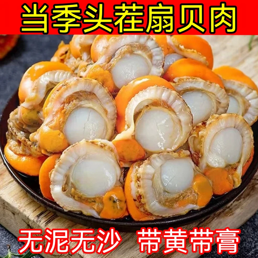 新鲜熟冻大个扇贝肉 无泥无沙 带膏带黄 5斤装 顺丰冷链包邮