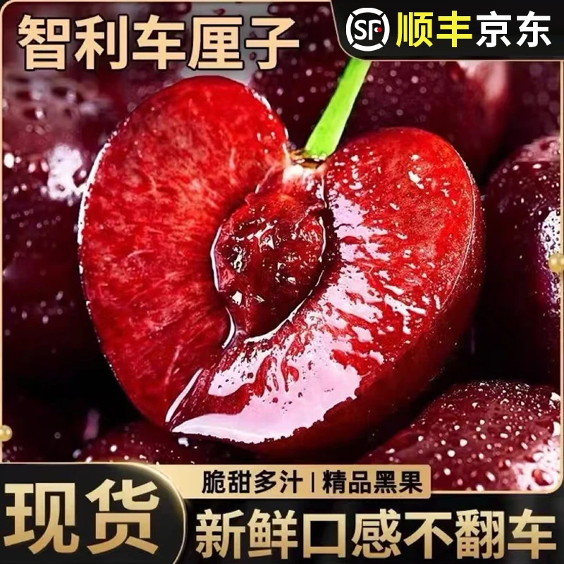 【现货】X智利进口海运车厘子J~4J新鲜2/3/5斤-Z 内附果径卡