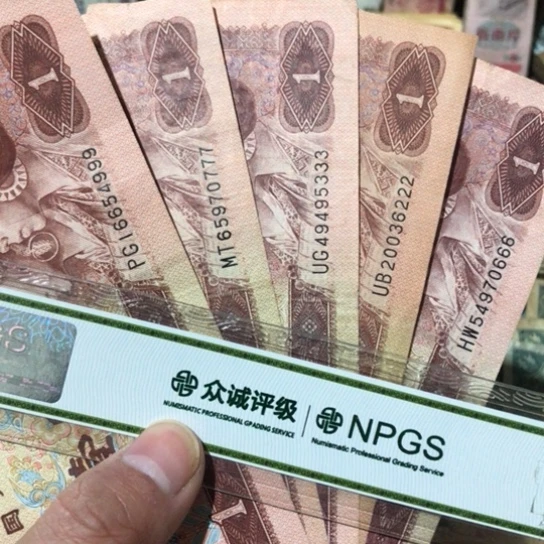 5张退市旧票福利品豹子