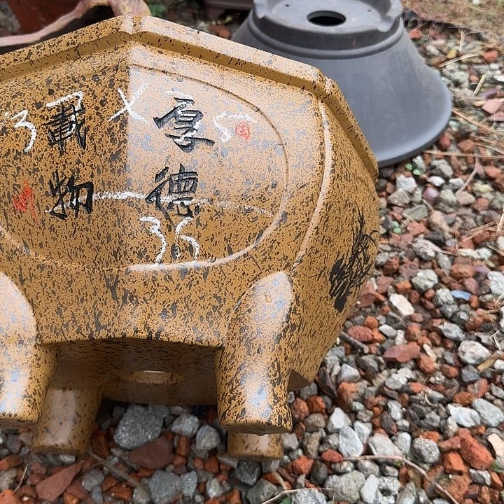 紫砂花盆紫砂花盆