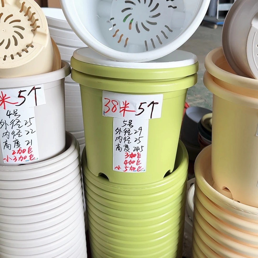 微瑕果绿色5号无拖8个