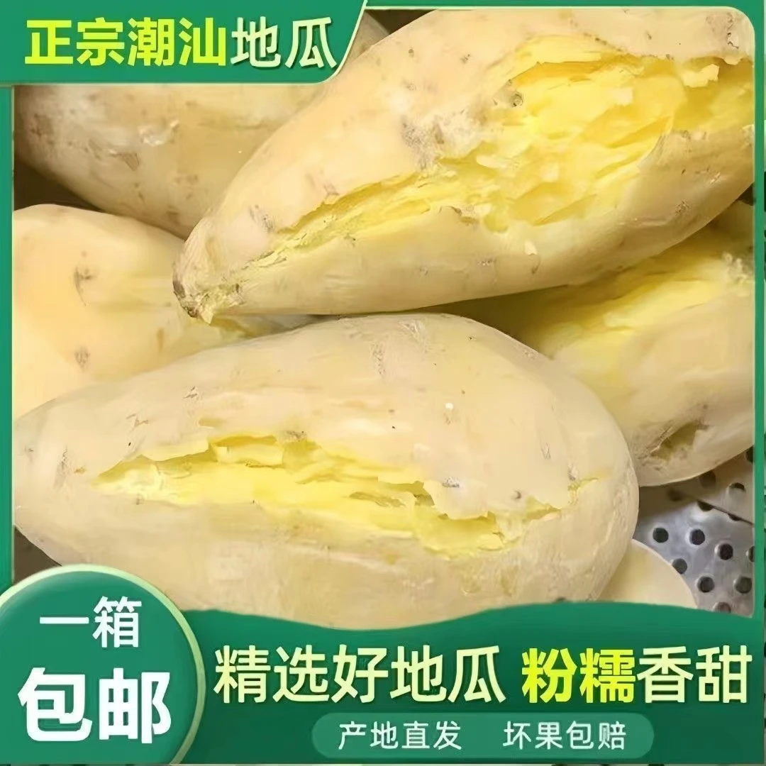 潮汕现挖黄心红心板栗薯香甜软糯粉无丝产地直发鸡蛋黄番薯白地瓜