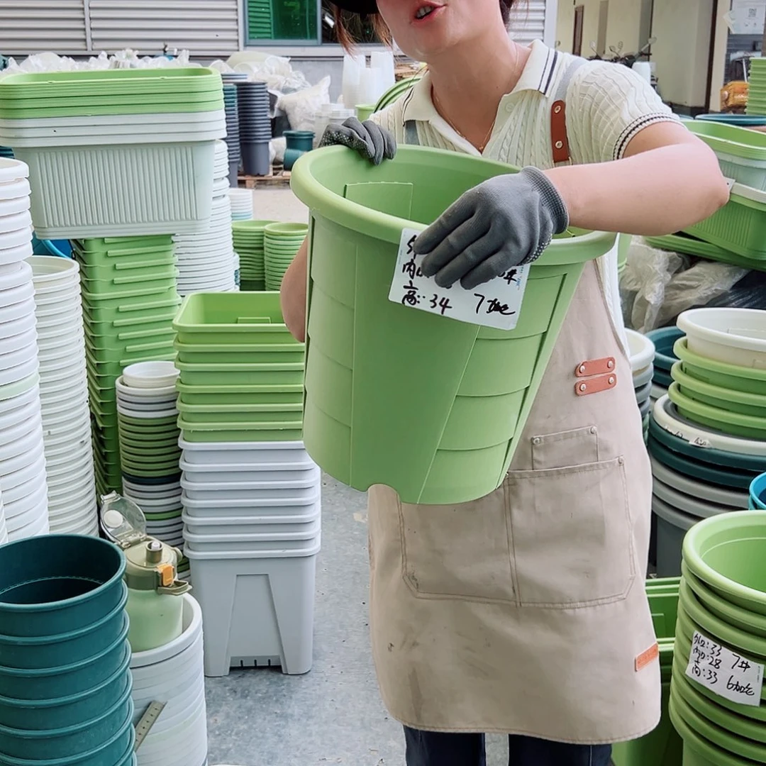 玫瑰370#果绿色4个无托