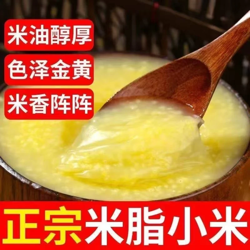 沂蒙山农家小米月子油小米养胃糯小米老人膳食食用营养