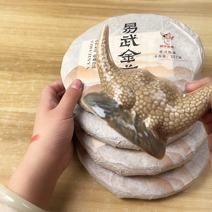 毛*姐啊啊啊啊啊啊啊啊啊啊啊