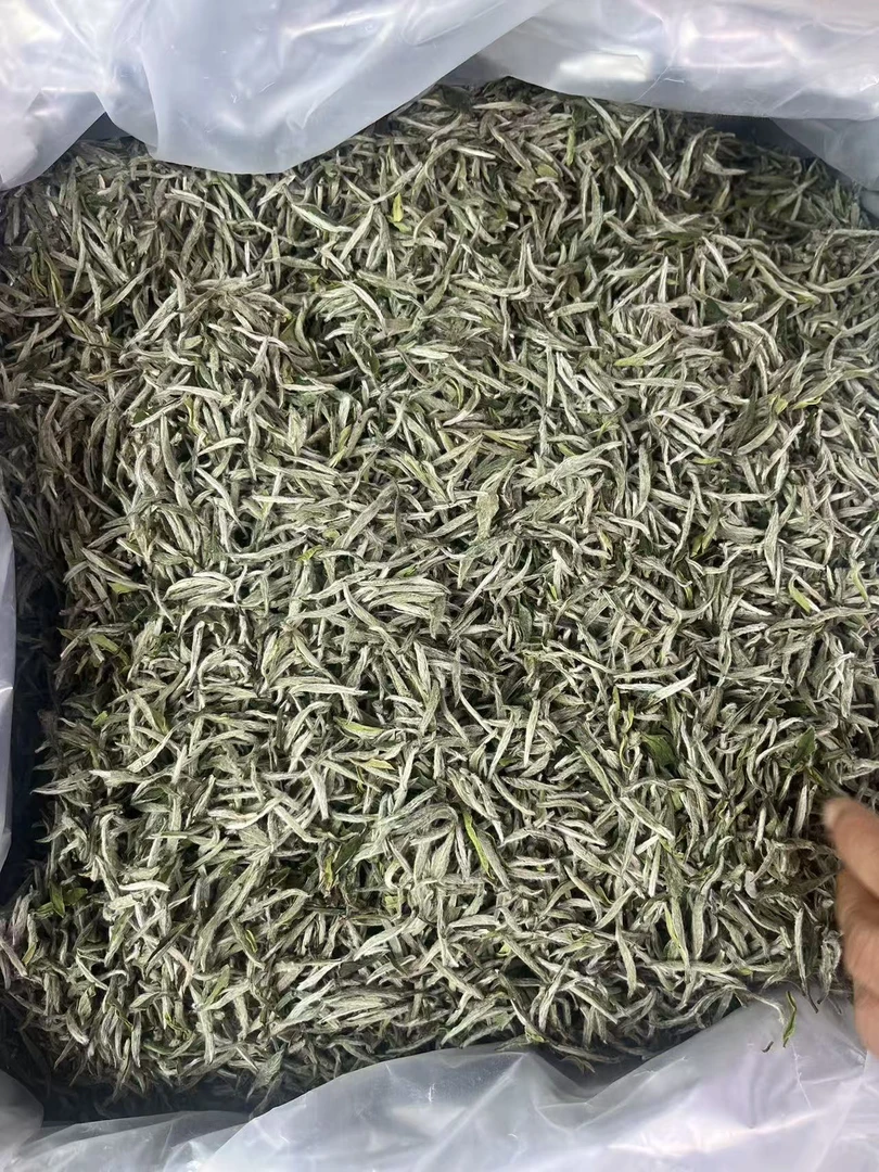【25年初见头采银针】 茶友们这款茶口感的期待值可以高点