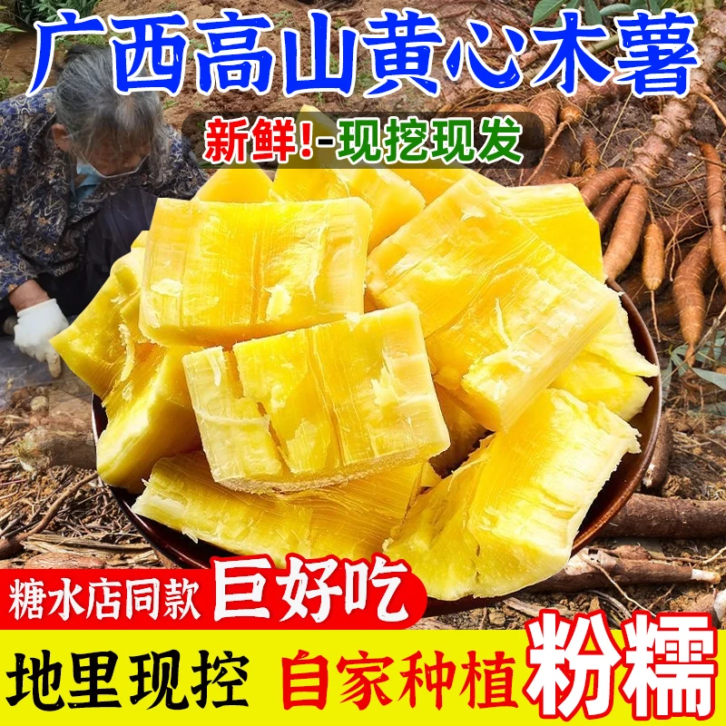 2025新鲜现挖广西黄心木薯板栗黄肉木薯糖水店同款天目山小香薯