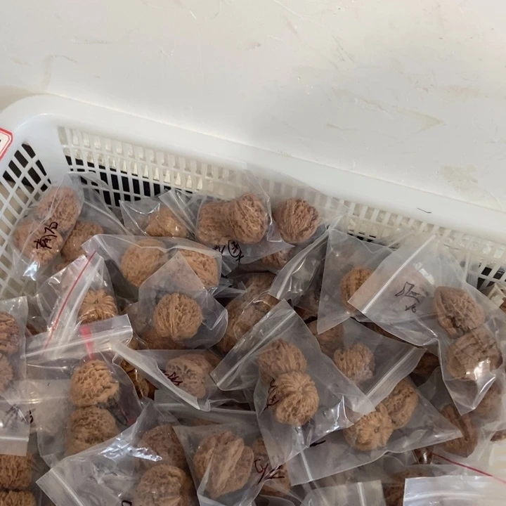 吊坠文玩核桃南疆瑕疵