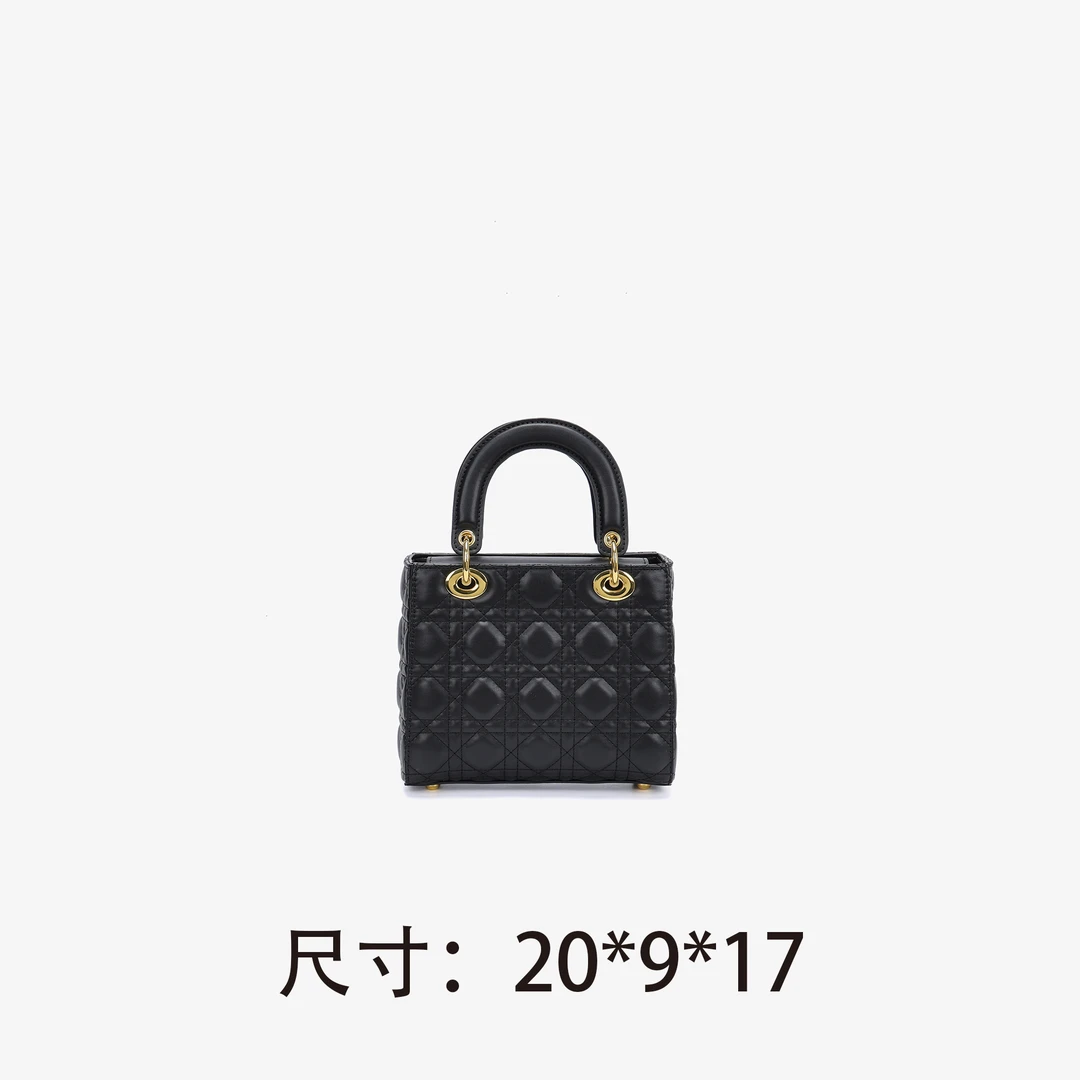 【D105】戴妃包-新款女包斜挎包百搭单肩包2519（尺寸20*9*17）