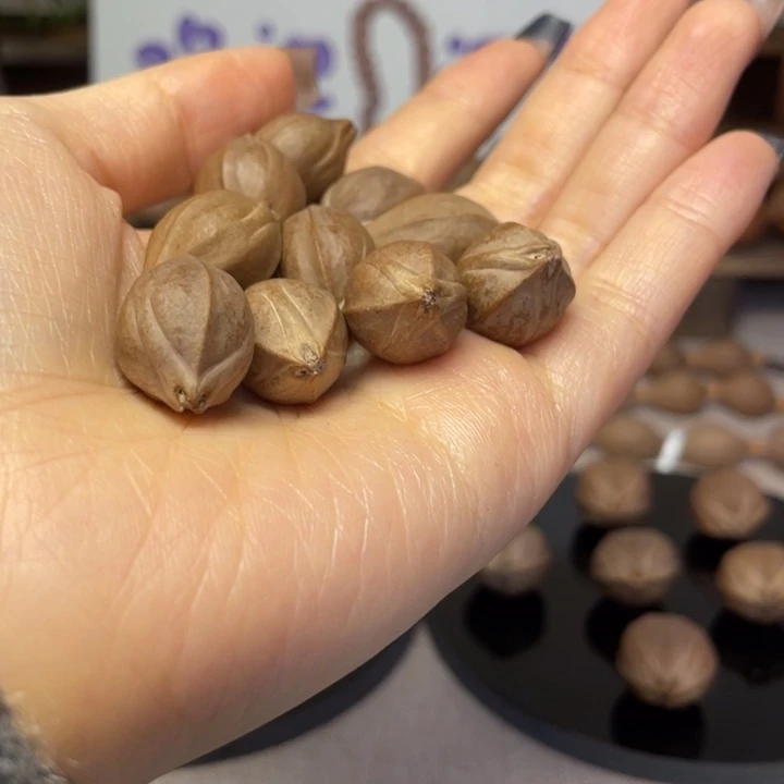 手串/手链橄榄核梅林铁核14.23头货三面佛