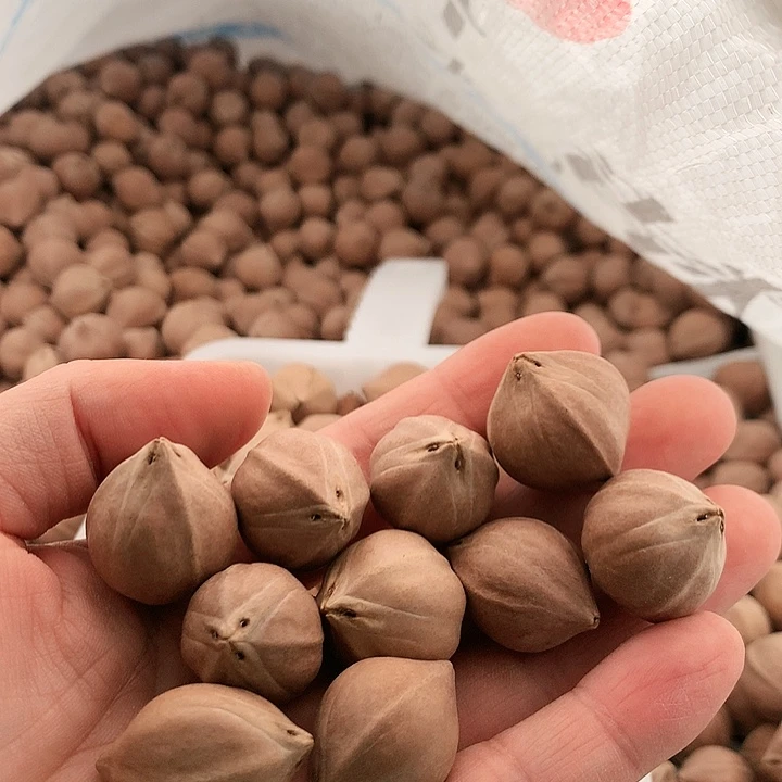 吊坠橄榄核ℳ****苏州橄榄核雕件