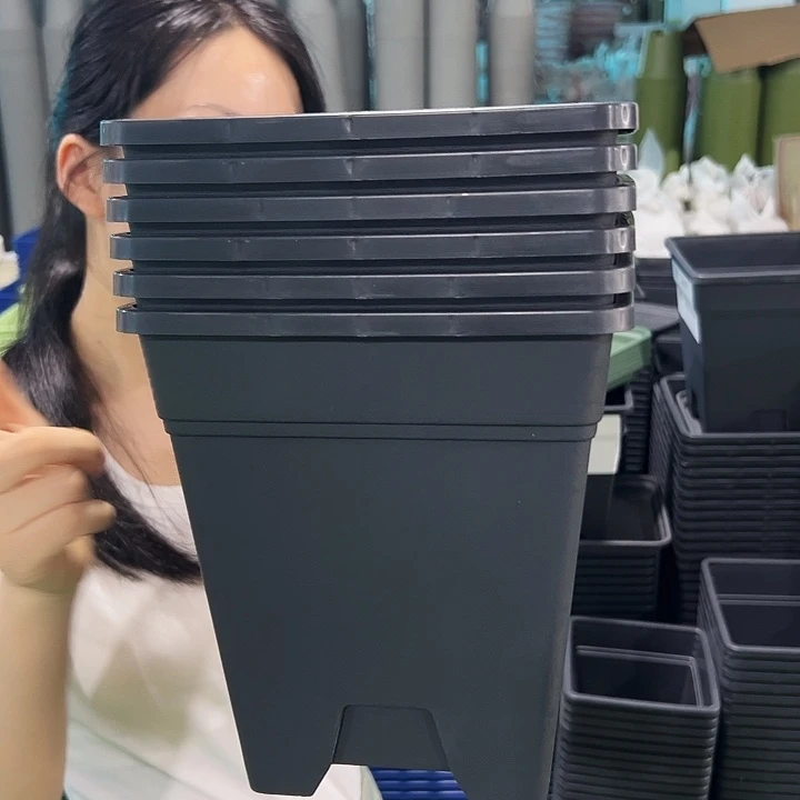 清仓方盆口20高22黑色6个带托