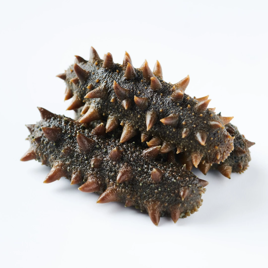 即食海参适合孕妇老人营养滋补8-12头