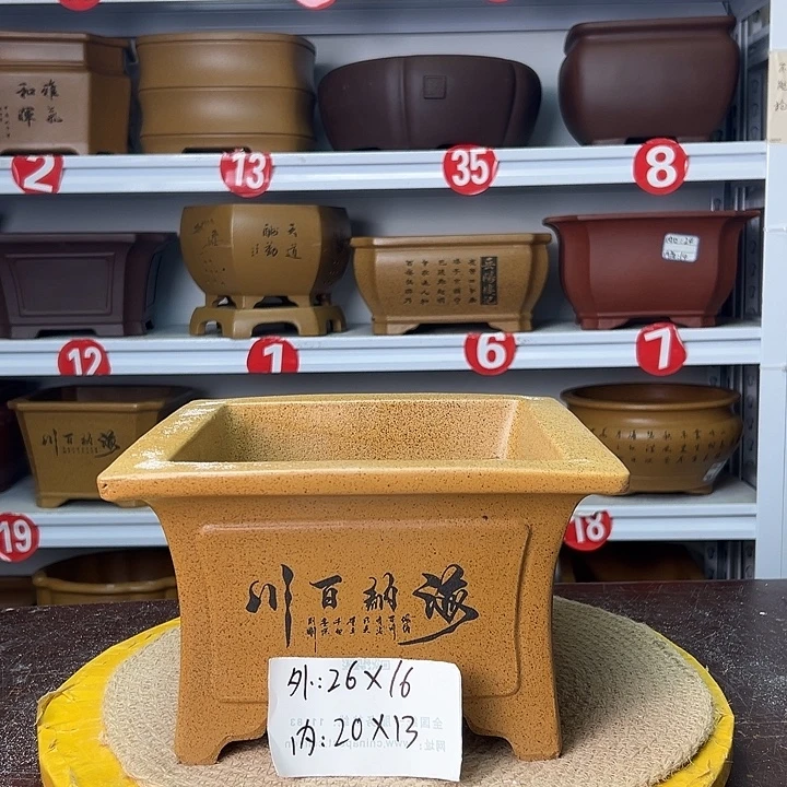 花盆紫砂你在一起