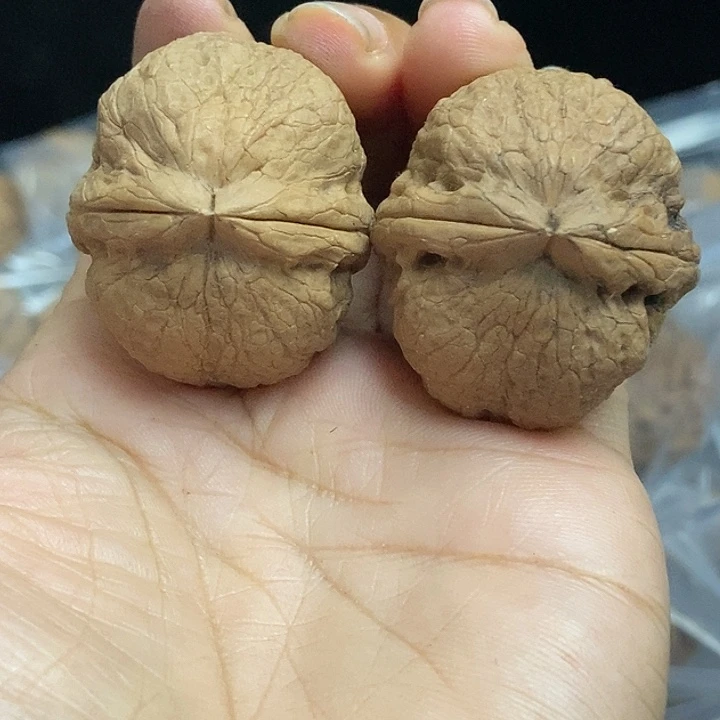 文玩核桃把件云南铁核桃基地51