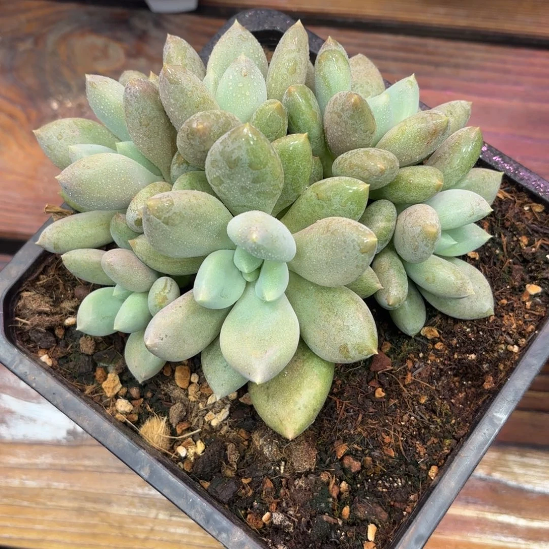 于***语Jbjkkjnnnnkkmnhjjjjjjkkkjjjjhjhhh