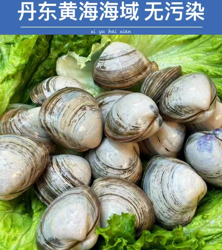 白蚬子500g/份
