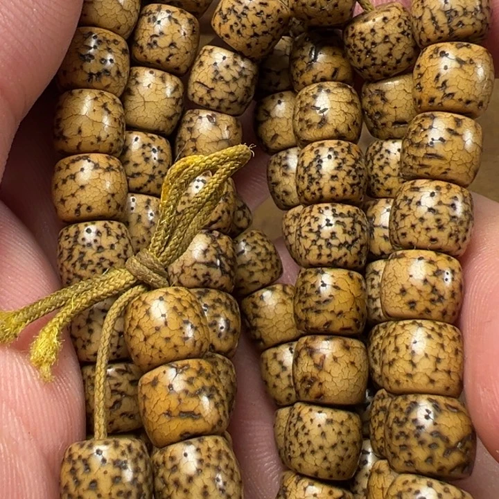 我们都是在这里看到的