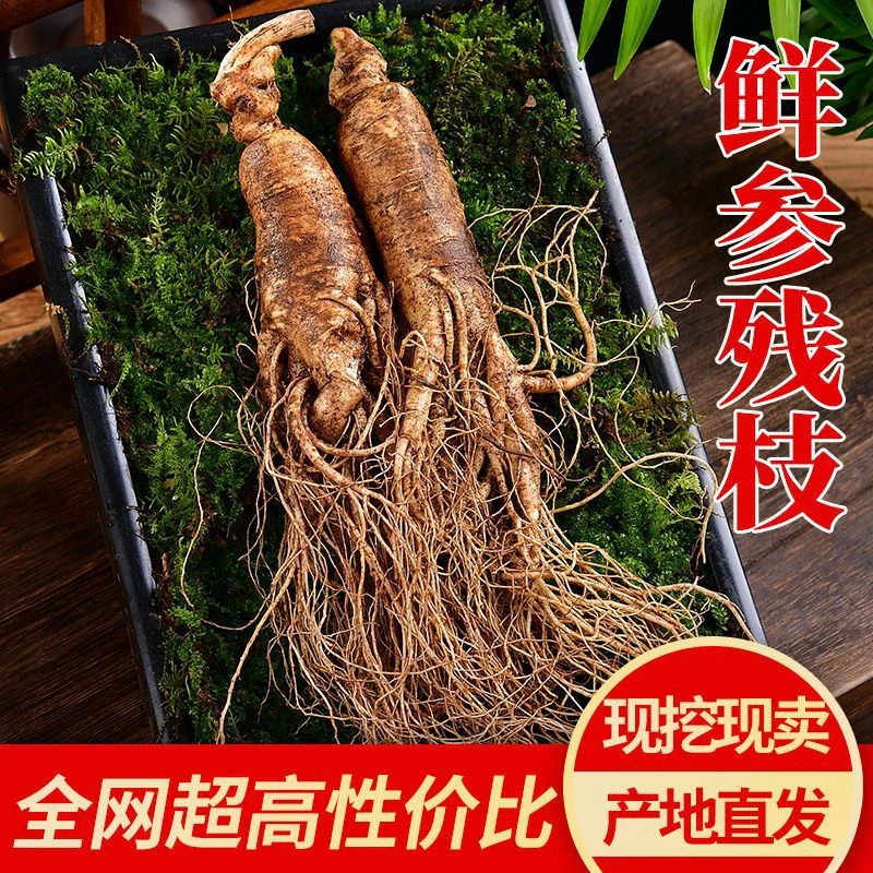 微瑕残参长白山新鲜人参东北特产吉林煲汤煮茶泡酒介意勿拍专用