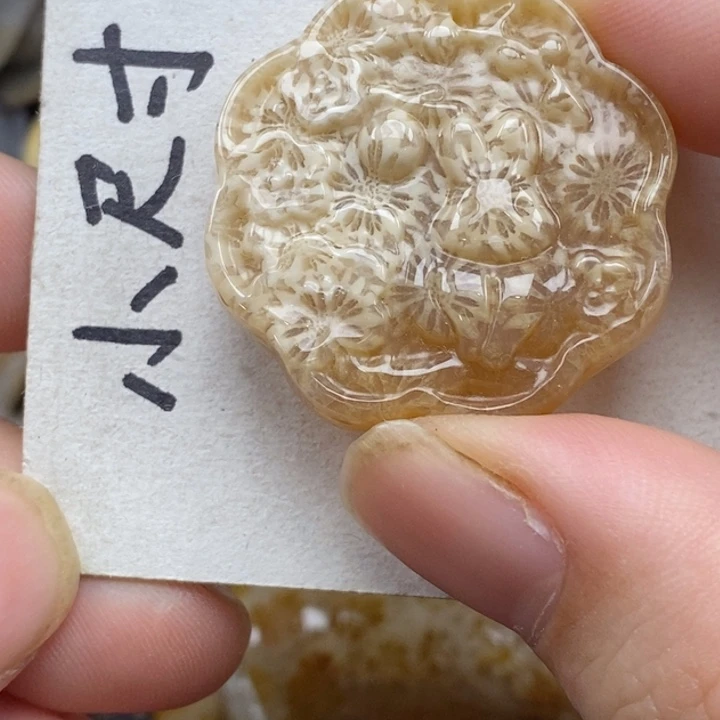 硅化珊瑚（珊瑚玉）未镶嵌颈饰