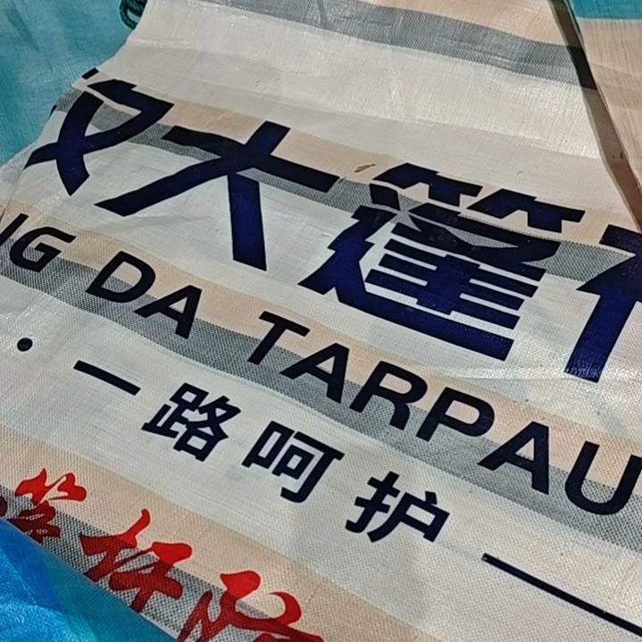 绒质色如果回家看看建国饭店私发给你妈妈