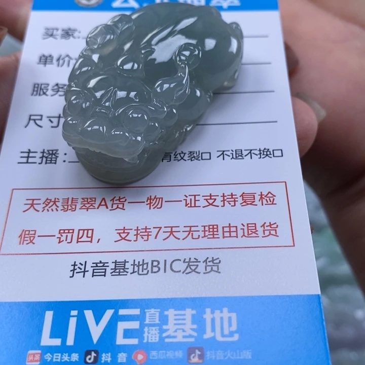 起***难翡翠未镶嵌颈饰多人貔貅