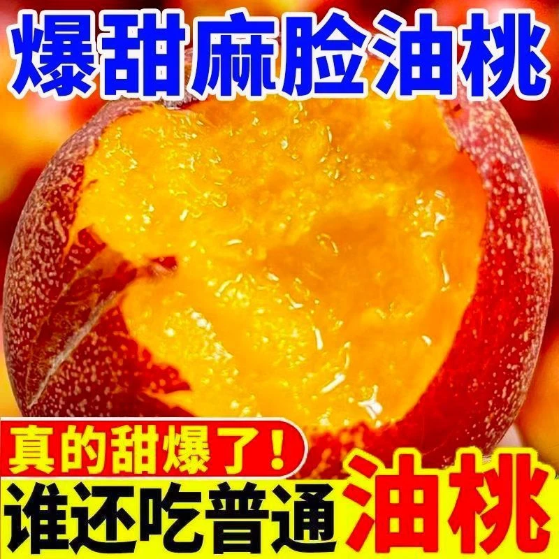 山东蒙阴头茬麻脸黄肉油桃脆甜爽口新鲜采摘当季水果包邮山东省
