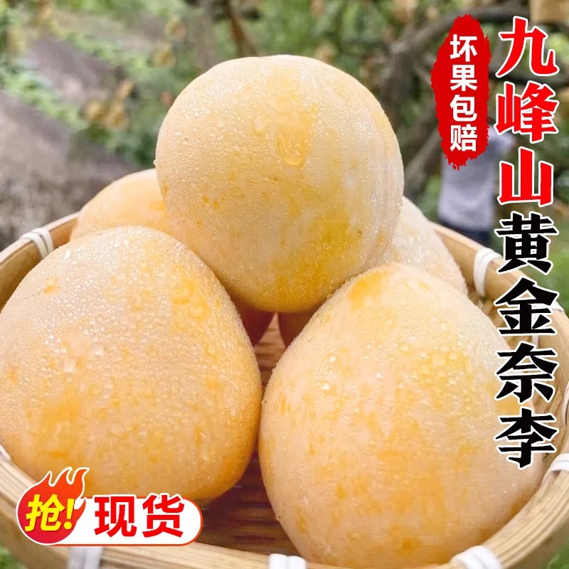 韶关乐昌九峰山黄金奈李特产李子新鲜应季水果现摘现发脆甜多汁