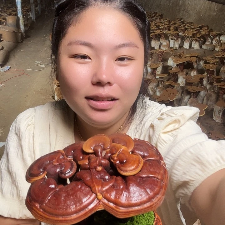 无花朵王*民灵芝孢子囊孢子