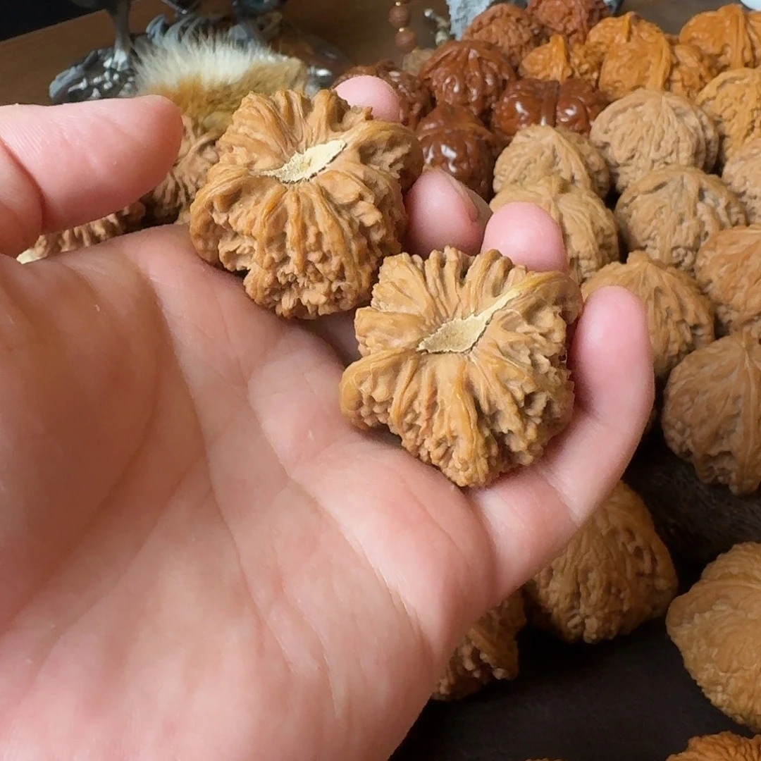手串/手链核桃40秘闻